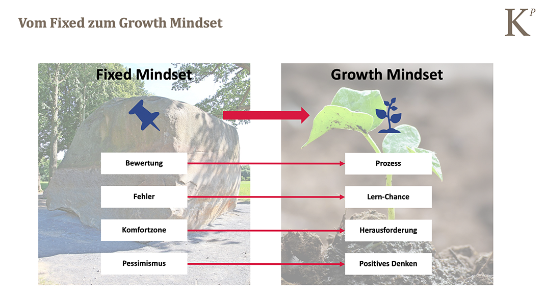 Fixed-Growth-Mindset